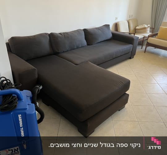 ספה כהה עם מכונת ניקוי כחולה בחדר מגורים